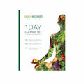 GB 1DAY CLEANSE SET ワンデイ クレンズ セット GB 1DAY GREEN BROTHERS ファスティングプログラム